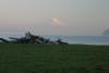 BlakeIsland2Pt.8x72